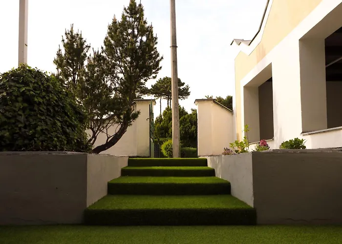 Mueller's 3 * 시오포크